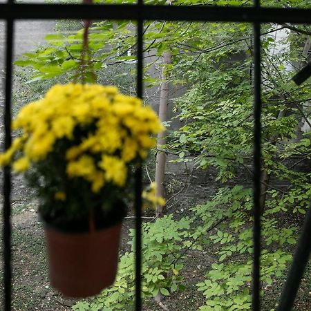 Natalie'S Home Beograd Bagian luar foto